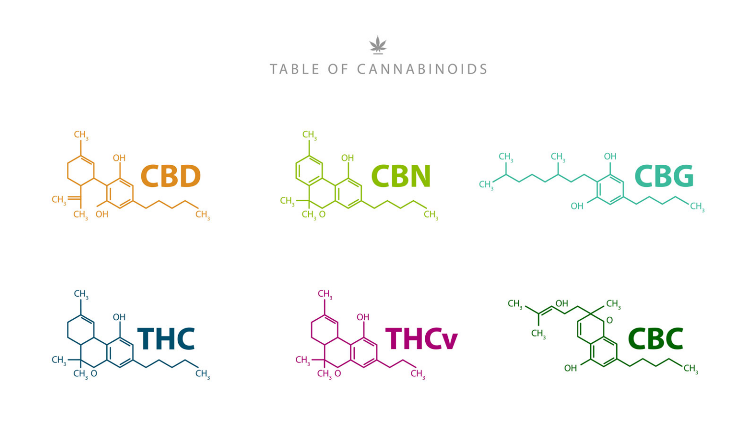 Cannabinoids: CBD Vs. CBG, CBDA, CBN, CBC, And CBDV Differences ...