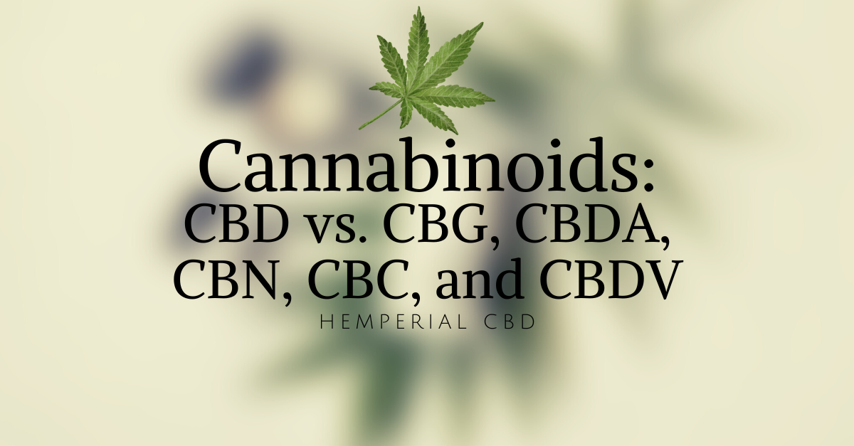 Cannabinoids: CBD Vs. CBG, CBDA, CBN, CBC, And CBDV Differences ...