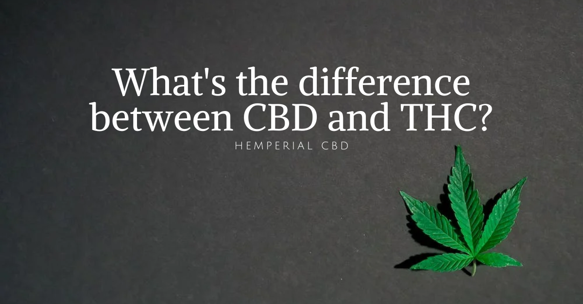 CBD Vs THC: What's The Difference Between CBD And THC? Hemperial CBD